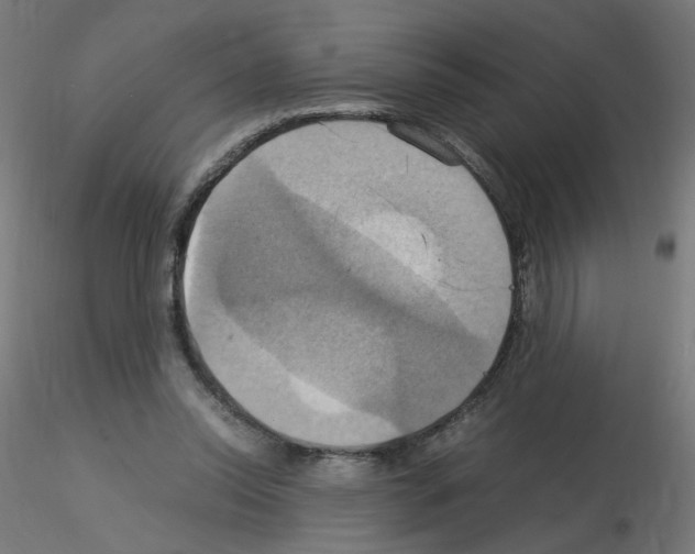 X0000115560350200912181622