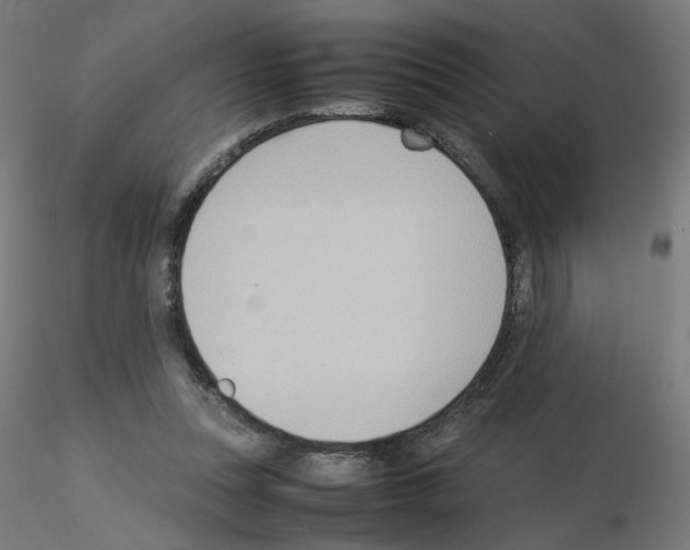 X0000115560351200912181622