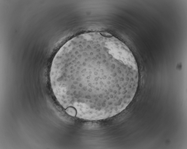 X0000115560354200912181622