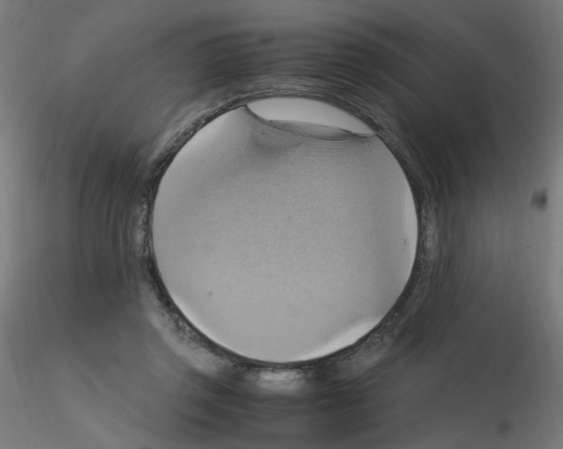 X0000115560357200912181622