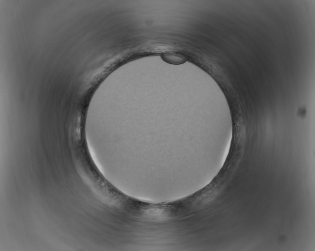 X0000115560358200912181623