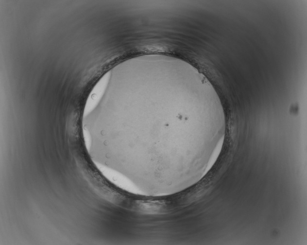 X0000115560359200912181623