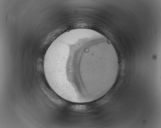 X0000115560361200912181623