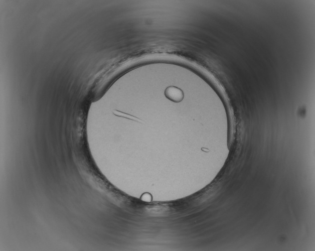 X0000115560362200912181623