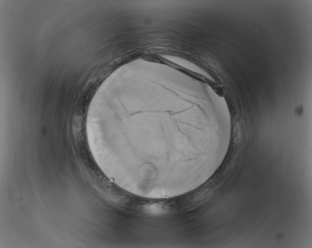 X0000115560365200912181623