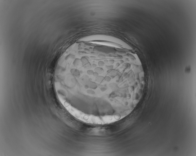 X0000115560366200912181623