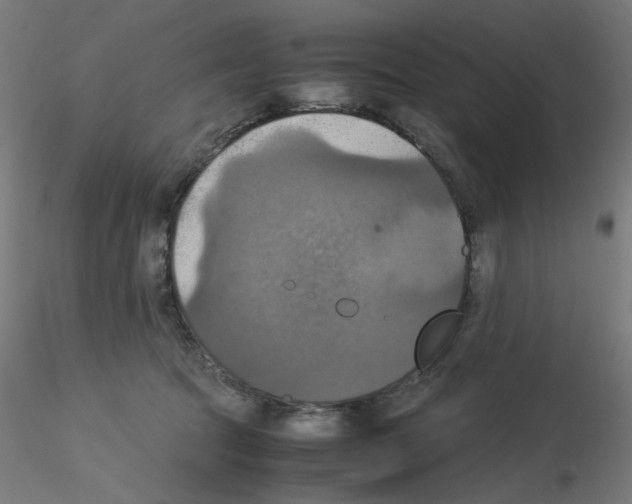 X0000115560369200912181623