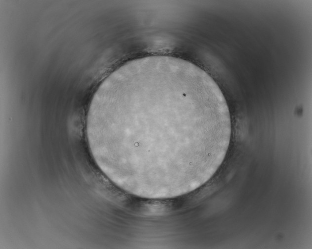 X0000115560370200912181623