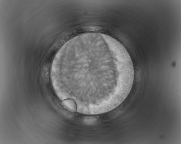 X0000115560373200912181623