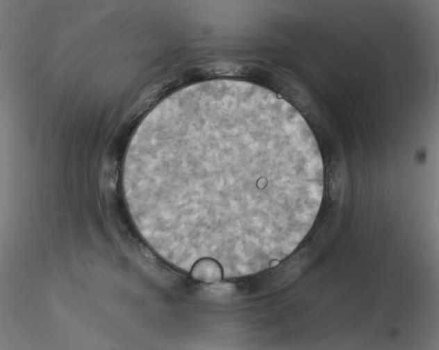 X0000115560374200912181623