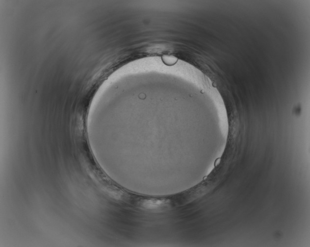 X0000115560375200912181623