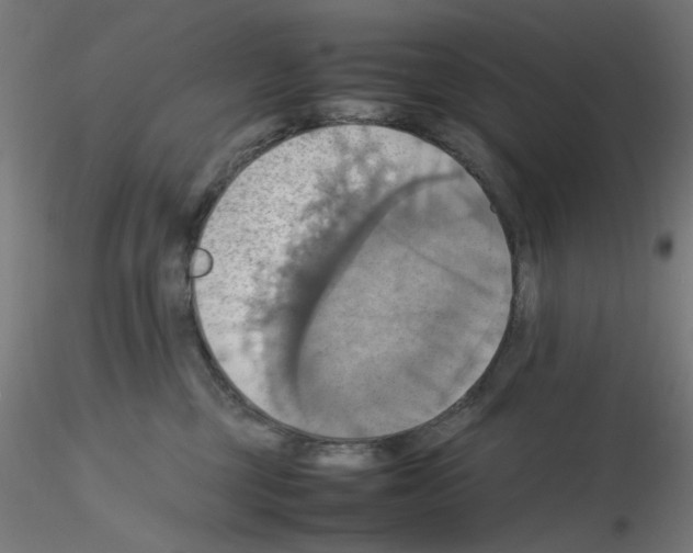 X0000115560377200912181623