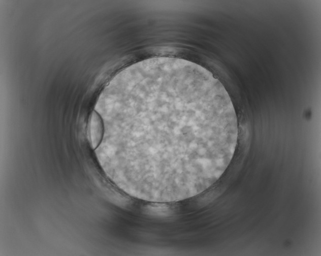 X0000115560381200912181623