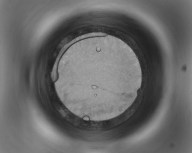 X0000115560382200912181623