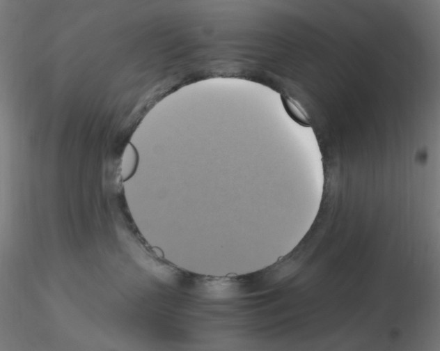 X0000115560383200912181623