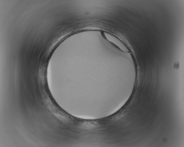 X0000115560386200912181622