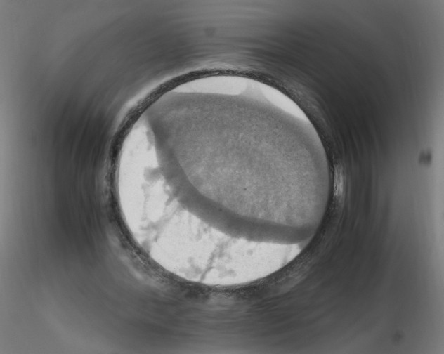 X0000115560388200912181622