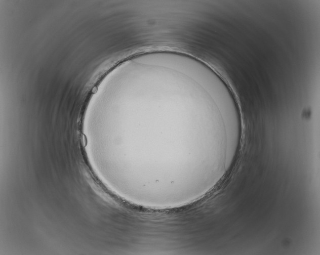 X0000115560389200912181622