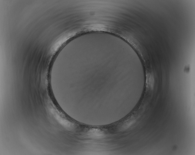 X0000115560390200912181622