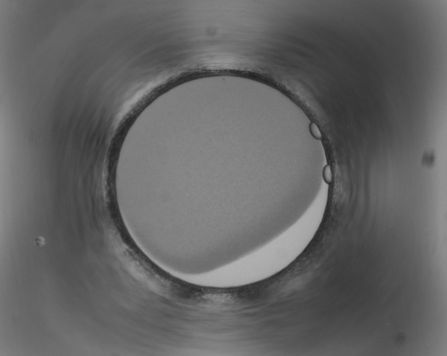 X0000115560391200912181622