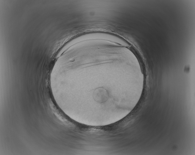 X0000115560393200912181622