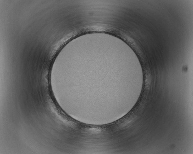 X0000115560394200912181622