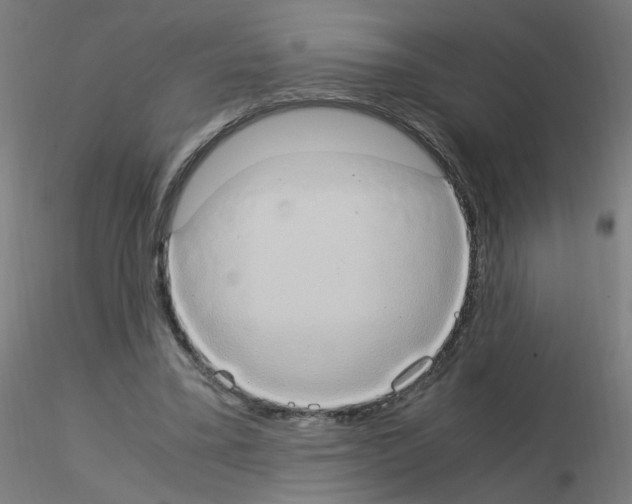 X0000115560395200912181622