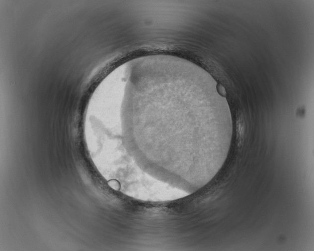 X0000115560396200912181622