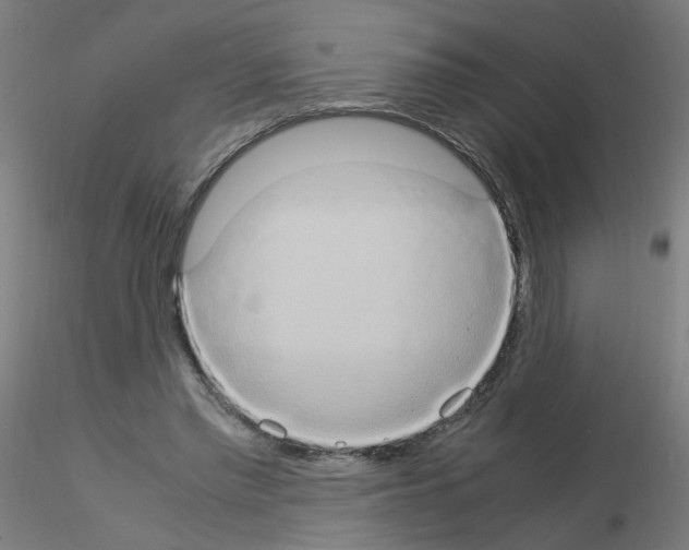 X0000115560397200912181622