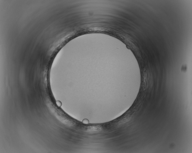 X0000115560398200912181622