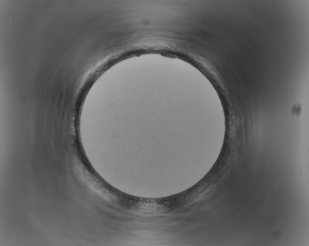 X0000115560399200912181622