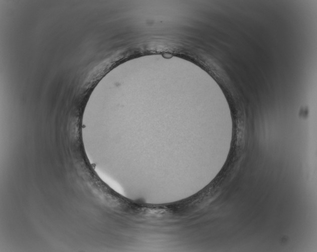 X0000115560401200912181622