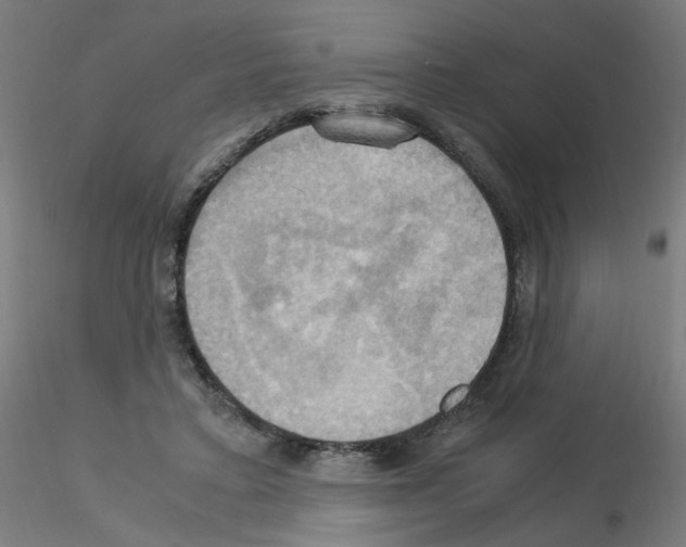 X0000115560403200912181622