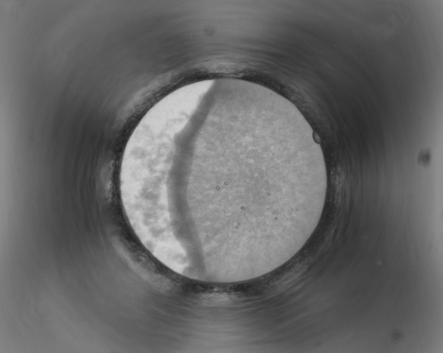 X0000115560404200912181622