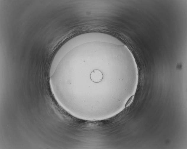 X0000115560405200912181622