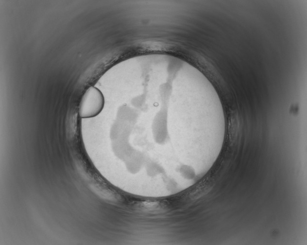 X0000115560406200912181622