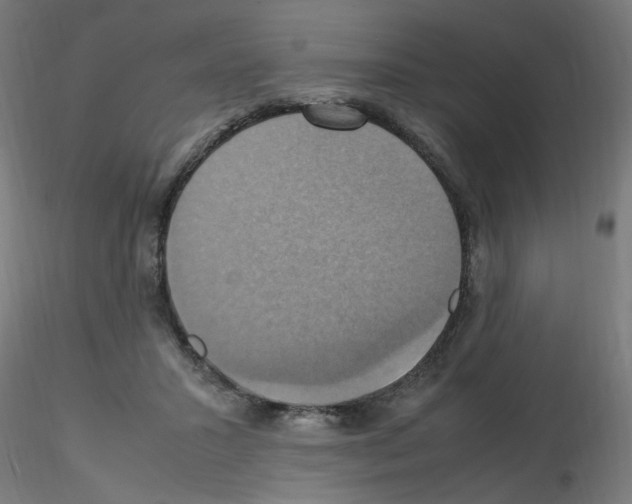 X0000115560407200912181622