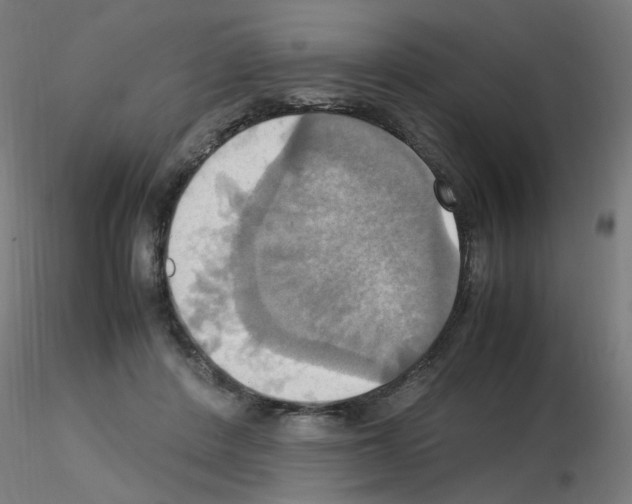 X0000115560408200912181622