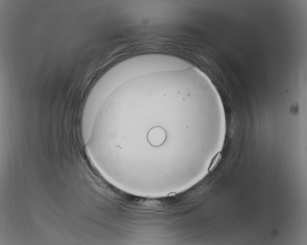 X0000115560409200912181622