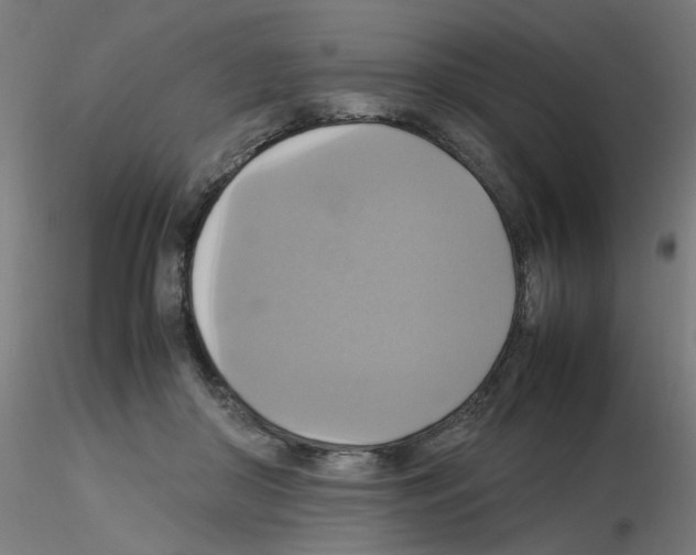 X0000115560410200912181622