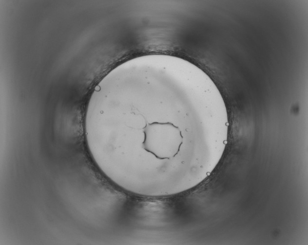 X0000115560411200912181622