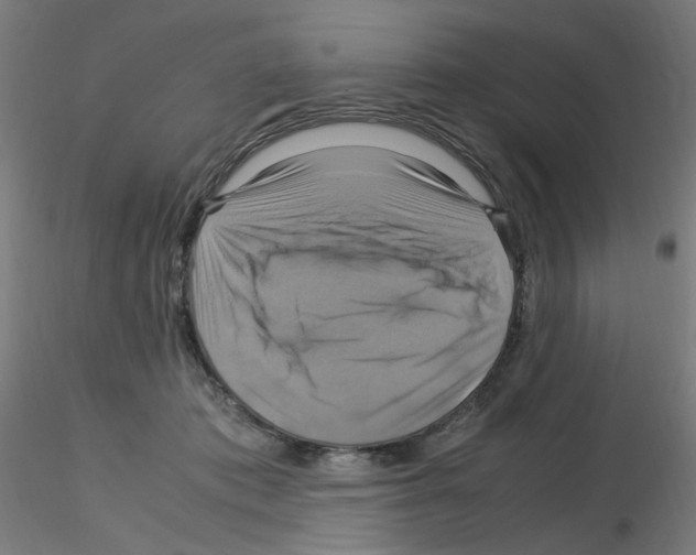 X0000115560413200912181622