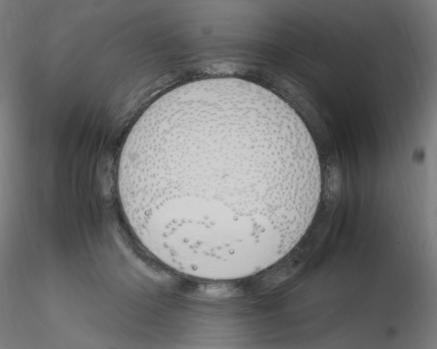 X0000115560414200912181622