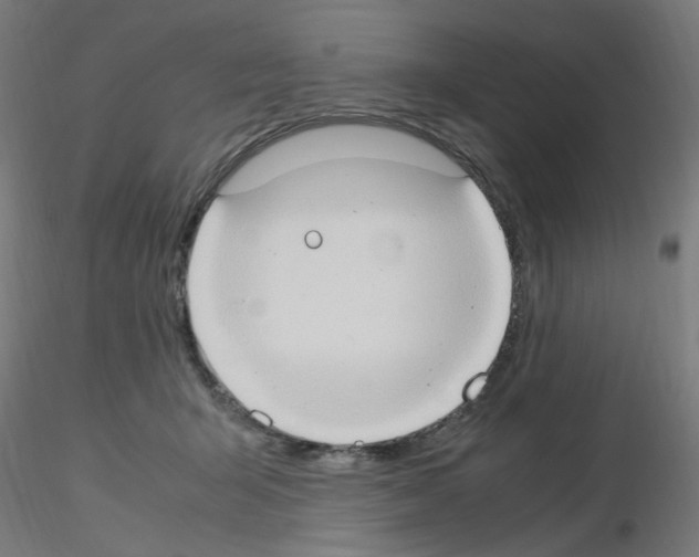 X0000115560415200912181622