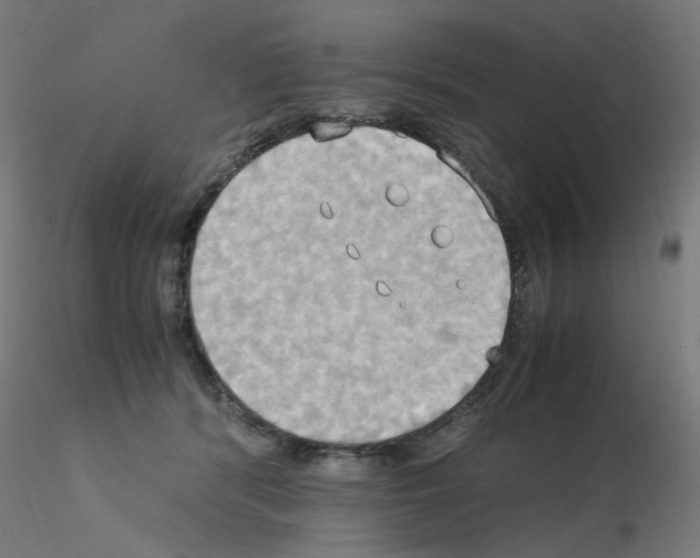 X0000115560416200912181622