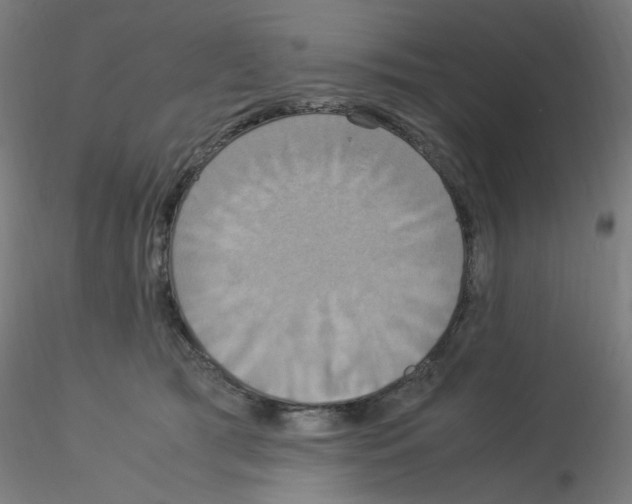 X0000115560417200912181622