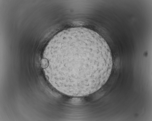 X0000115560418200912181622