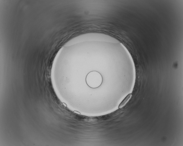 X0000115560419200912181622