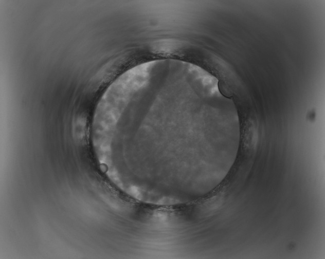 X0000115560420200912181622