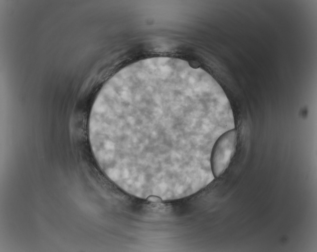 X0000115560421200912181622